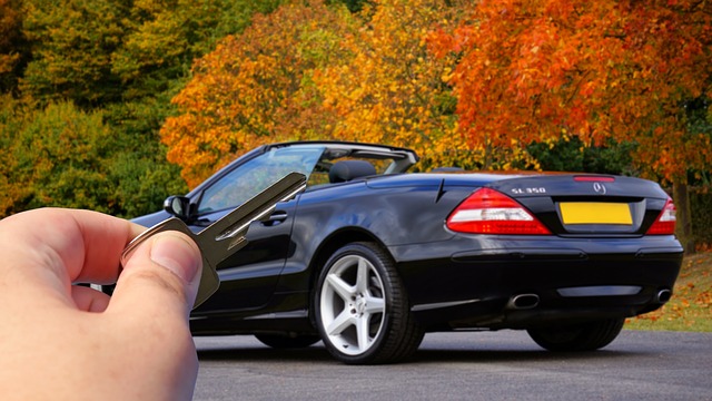 automodellen carkings